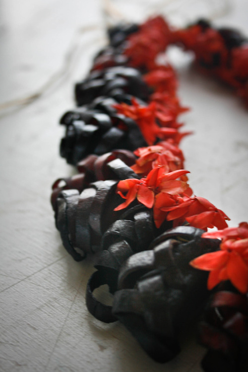 tumblr_mopqjfgrBm1qbwy9fo1_500